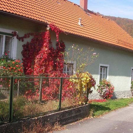 Haus Gerstbauer Apartment Aggsbach Luaran gambar