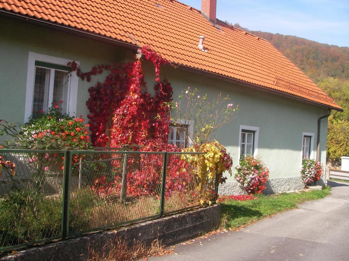 Haus Gerstbauer Apartment Aggsbach Luaran gambar